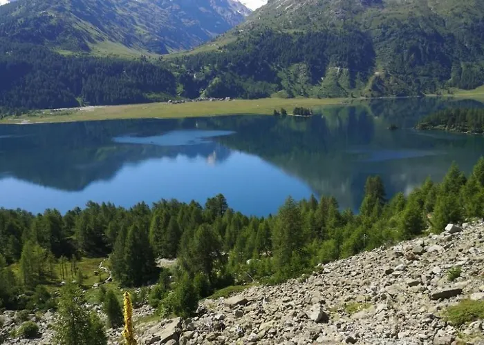 3 Bettwohnung By Interhome Sils Maria