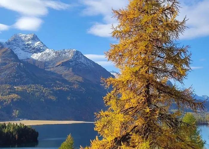 3 Bettwohnung By Interhome Appartement Sils Maria